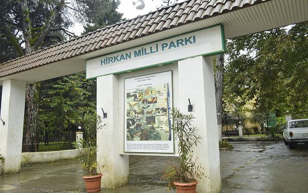 Hirkan Milli Parkı - Sputnik Azərbaycan