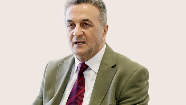 Нусрет Ибрагимов, гендиректор консалтинговой компании MBA Ltd - Sputnik Азербайджан