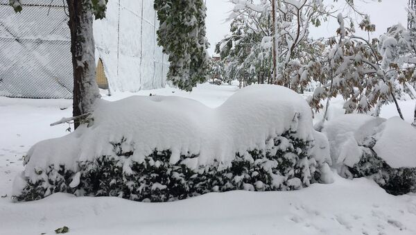 Обильный снегопад в городском округе Чалдоран иранской провинции Западный Азербайджан - Sputnik Азербайджан