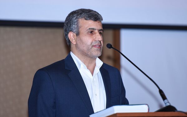 Заместитель директора департамента иностранных инвестиций Организации инвестиционной, экономической и технической помощи Ирана Акпер Гахрамани - Sputnik Азербайджан