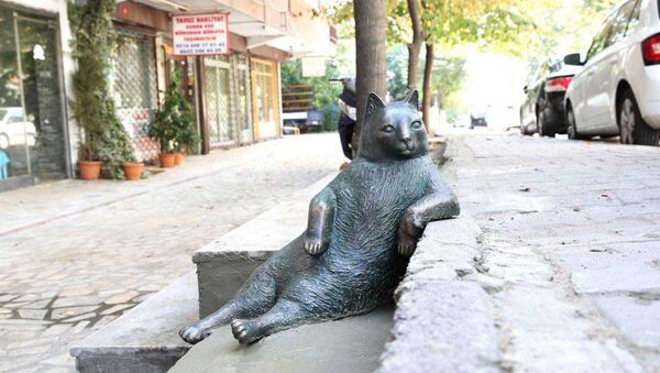 Памятник коту Томбили в Стамбуле, фото из архива - Sputnik Азербайджан