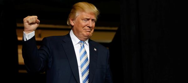Избранный президент США Дональд Трамп, фото из архива Избранный президент США Дональд Трамп, фото из архива - Sputnik Азербайджан