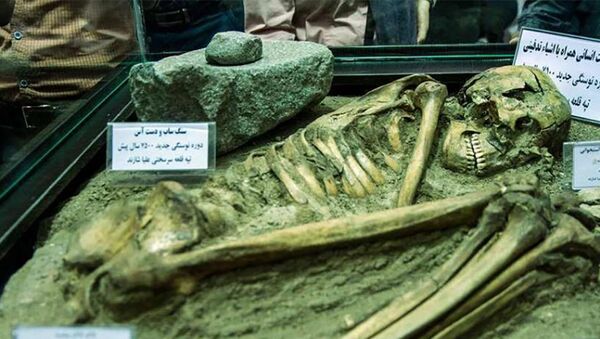 Выставка останков человека эпохи неолита, найденного при раскопках древнего кургана - Sputnik Азербайджан