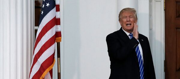 Избранный президент США Дональд Трамп, фото из архива Избранный президент США Дональд Трамп, фото из архива - Sputnik Азербайджан