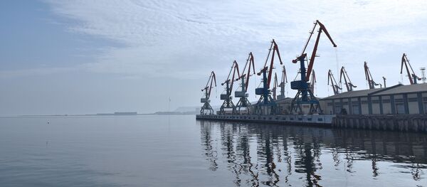 Портовые краны в Бакинском морском торговом порту Портовые краны в Бакинском морском торговом порту - Sputnik Азербайджан