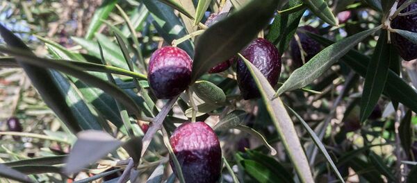 ΠΌΠΎΠΆΠ½ΠΎ Π»ΠΈ ΡΠΈΠ½ΠΈΠΊΠΈ Π² ΠΏΠΎΡΡ. Π‘ΠΌΠΎΡΡΠ΅ΡΡ ΡΠΎΡΠΎ ΠΌΠΎΠΆΠ½ΠΎ Π»ΠΈ ΡΠΈΠ½ΠΈΠΊΠΈ Π² ΠΏΠΎΡΡ. Π‘ΠΌΠΎΡΡΠ΅ΡΡ ΠΊΠ°ΡΡΠΈΠ½ΠΊΡ ΠΌΠΎΠΆΠ½ΠΎ Π»ΠΈ ΡΠΈΠ½ΠΈΠΊΠΈ Π² ΠΏΠΎΡΡ. ΠΠ°ΡΡΠΈΠ½ΠΊΠ° ΠΏΡΠΎ ΠΌΠΎΠΆΠ½ΠΎ Π»ΠΈ ΡΠΈΠ½ΠΈΠΊΠΈ Π² ΠΏΠΎΡΡ. Π€ΠΎΡΠΎ ΠΌΠΎΠΆΠ½ΠΎ Π»ΠΈ ΡΠΈΠ½ΠΈΠΊΠΈ Π² ΠΏΠΎΡΡ ΠΌΠΎΠΆΠ½ΠΎ Π»ΠΈ ΡΠΈΠ½ΠΈΠΊΠΈ Π² ΠΏΠΎΡΡ. Π‘ΠΌΠΎΡΡΠ΅ΡΡ ΡΠΎΡΠΎ ΠΌΠΎΠΆΠ½ΠΎ Π»ΠΈ ΡΠΈΠ½ΠΈΠΊΠΈ Π² ΠΏΠΎΡΡ. Π‘ΠΌΠΎΡΡΠ΅ΡΡ ΠΊΠ°ΡΡΠΈΠ½ΠΊΡ ΠΌΠΎΠΆΠ½ΠΎ Π»ΠΈ ΡΠΈΠ½ΠΈΠΊΠΈ Π² ΠΏΠΎΡΡ. ΠΠ°ΡΡΠΈΠ½ΠΊΠ° ΠΏΡΠΎ ΠΌΠΎΠΆΠ½ΠΎ Π»ΠΈ ΡΠΈΠ½ΠΈΠΊΠΈ Π² ΠΏΠΎΡΡ. Π€ΠΎΡΠΎ ΠΌΠΎΠΆΠ½ΠΎ Π»ΠΈ ΡΠΈΠ½ΠΈΠΊΠΈ Π² ΠΏΠΎΡΡ