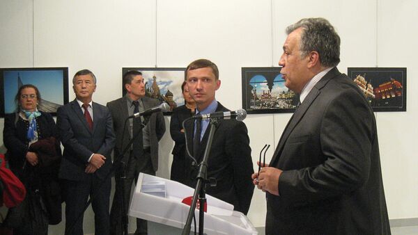 Выступление Андрея Карлова в художественной галерее в Анкаре - Sputnik Азербайджан