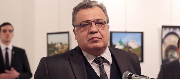 Выступление Андрея Карлова в художественной галерее в Анкаре - Sputnik Азербайджан