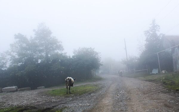 Туманное утро в Ивановке - Sputnik Азербайджан