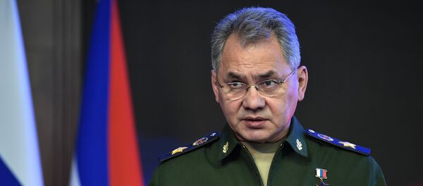 Министр обороны РФ Сергей Шойгу - Sputnik Азербайджан