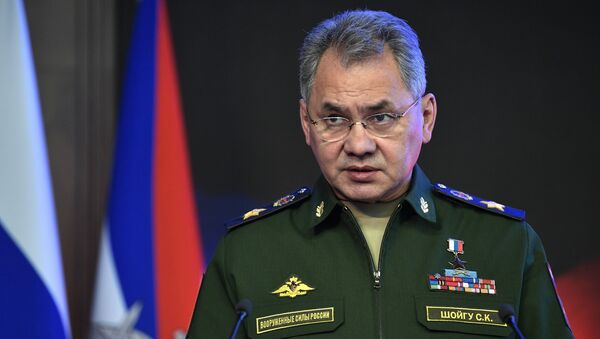 Министр обороны РФ Сергей Шойгу - Sputnik Азербайджан
