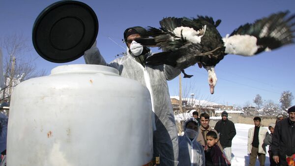 Мероприятия по борьбе с птичьим гриппом в Иране, фото из архива - Sputnik Азербайджан