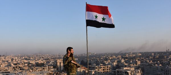 Военный сирийской армии на крыше здания в Алеппо, архивное фото - Sputnik Азербайджан