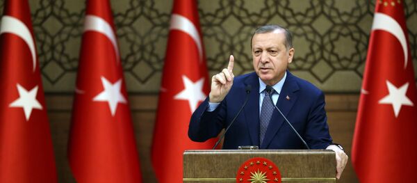 Президент Турции Реджеп Тайип Эрдоган, фото из архива Президент Турции Реджеп Тайип Эрдоган, фото из архива - Sputnik Азербайджан