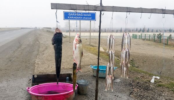 Торговля рыбой неподалеку от Карабахского канала Торговля рыбой неподалеку от Карабахского канала - Sputnik Азербайджан