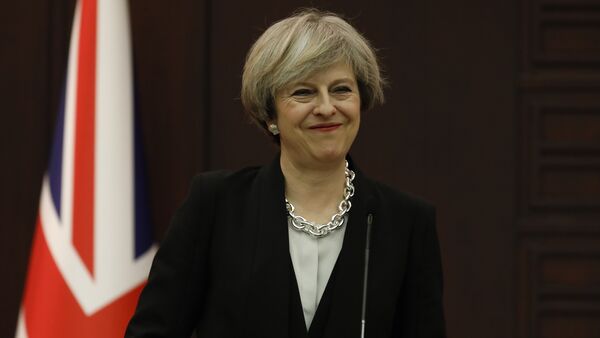 Премьер-министр Великобритании Тереза Мэй в ходе пресс-конференции в Анкаре, 28 января 2017 года - Sputnik Азербайджан