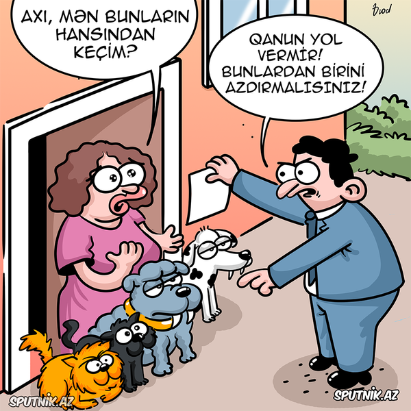 Ev heyvanlarının sayına qoyulan məhdudiyyət Ev heyvanlarının sayına qoyulan məhdudiyyət - Sputnik Azərbaycan