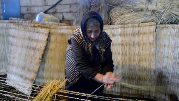 Плетение циновки – дело нехитрое, но опасное - Sputnik Азербайджан