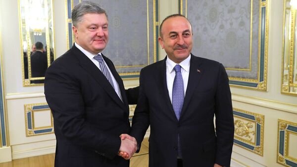 Ukrayna prezidenti Petro Poroşenko və Çavuşoğlu - Sputnik Azərbaycan