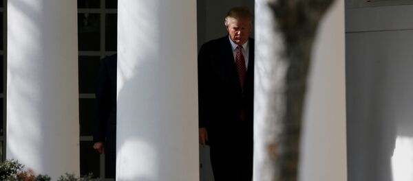 Президент Дональд Трамп в Белом Доме - Sputnik Азербайджан