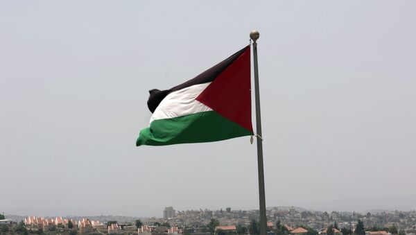 Национальный флаг Палестины, фото из архива - Sputnik Азербайджан