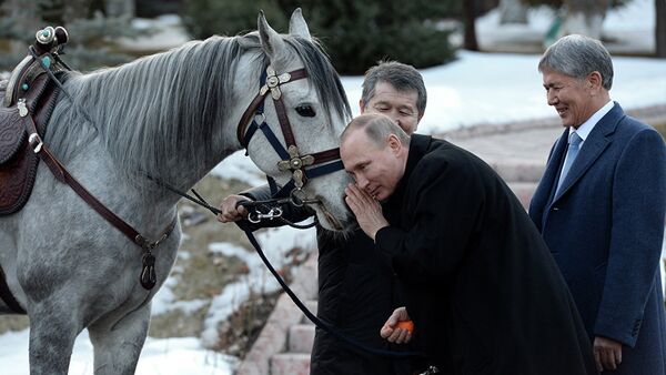 Глава России Владимир Путин получил коня в подарок от президента КР Алмазбека Атамбаева  в Государственной резиденции Ала-Арча. 28 февраля 2017 года - Sputnik Азербайджан