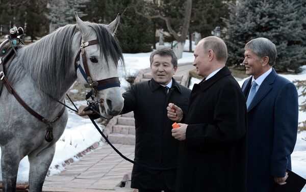 Во вторник российский лидер посетил Кыргызстан с официальным визитом. Он провел встречу с Алмазбеком Атамбаевым. - Sputnik Азербайджан