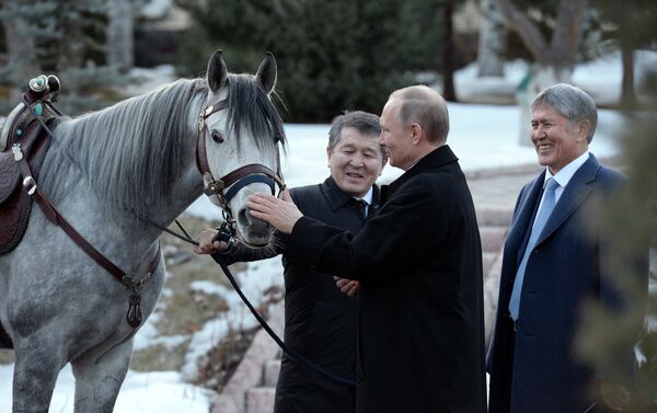Сегодня личный фотограф президента КР Султан Досалиев выставил в соцсетях несколько снимков Путина и Атамбаева с лошадью серой масти и подписал: после переговоров… - Sputnik Азербайджан