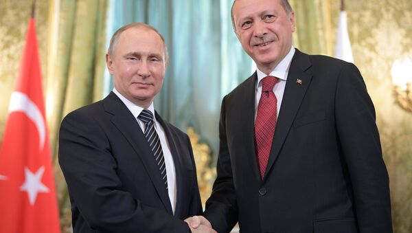 Президент РФ В. Путин принял участие в заседании Совета сотрудничества высшего уровня между РФ и Турцией - Sputnik Азербайджан