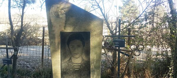 Памятник на могиле Александра Анатольевича Михайлюка Памятник на могиле Александра Анатольевича Михайлюка - Sputnik Азербайджан