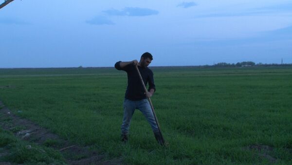 Жители Гапанлы выходят в поле с опаской - Sputnik Азербайджан