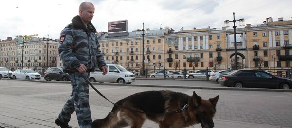 Сотрудник правоохранительных органов с собакой на улице в Санкт-Петербурге в связи с усилением мер безопасности - Sputnik Азербайджан