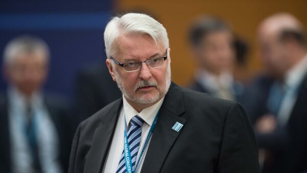 Министр иностранных дел Польши Витольд Ващиковский - Sputnik Азербайджан
