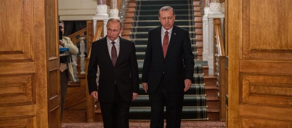 Президенты России и Турции Владимир Путин и Реджеп Тайип Эрдоган перед пресс-конференцией в Стамбуле, 10 октября 2016 года - Sputnik Азербайджан