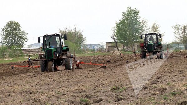 Уборка хлопка Уборка хлопка - Sputnik Азербайджан
