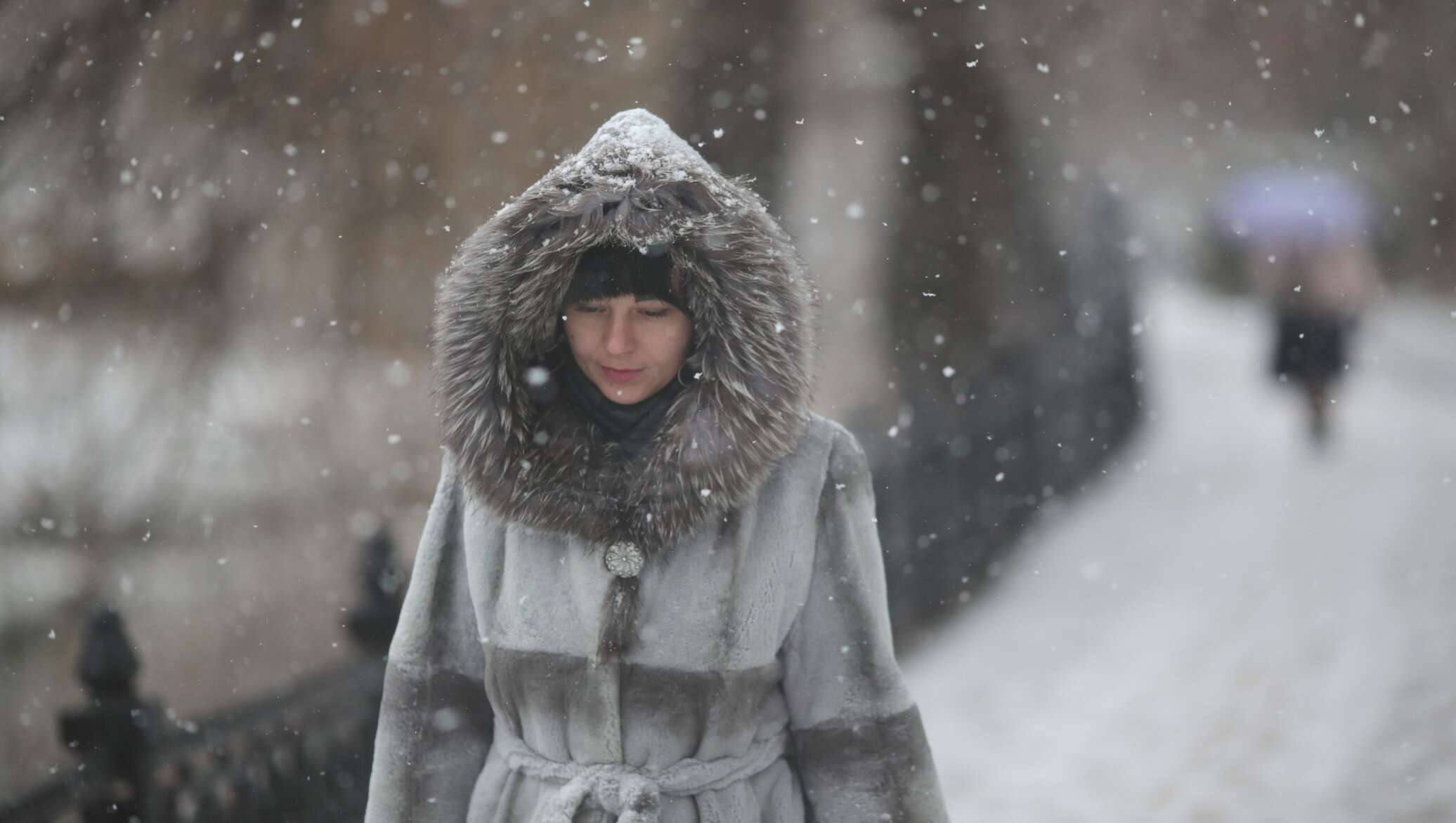 Снег растаял на плечах новой шубы норковой. В шубе под дождем. Девушки в шубах под Снегопадом. Женщины в шубах под дождем. В шубе в дождь.