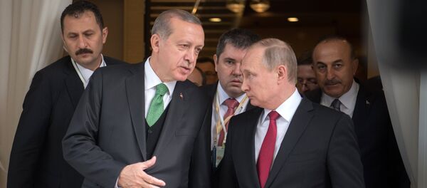 Президент РФ Владимир Путин и президент Турции Реджеп Тайип Эрдоган во время встречи, 3 мая 2017 года Президент РФ Владимир Путин и президент Турции Реджеп Тайип Эрдоган во время встречи, 3 мая 2017 года - Sputnik Азербайджан