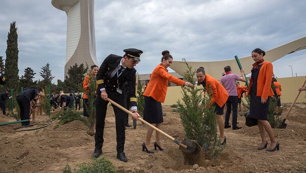 В Международном аэропорту Гейдар Алиев прошла акция по посадке деревьев - Sputnik Азербайджан