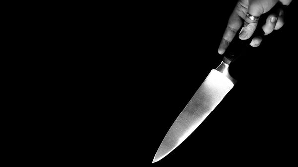 Нож, фото из архива - Sputnik Azərbaycan