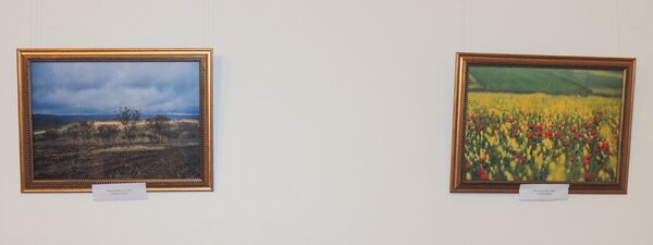 Рустам Гусейнов Гобустан (слева) и Денис Свечников Цветы Шемахы Рустам Гусейнов Гобустан (слева) и Денис Свечников Цветы Шемахы - Sputnik Азербайджан