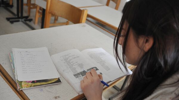 Студентка на уроке русского языка, фото из архива - Sputnik Азербайджан