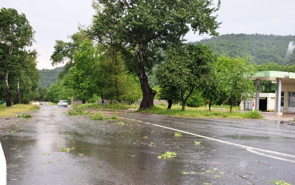 Ураган нанес серьезный ущерб местным хозяйствам Габалинского района - Sputnik Азербайджан