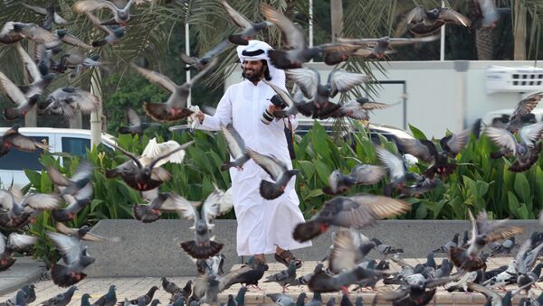 A man looks at pigeons at Souq Waqif market in Doha, Qatar, June 6, 2017. - Sputnik Azərbaycan
