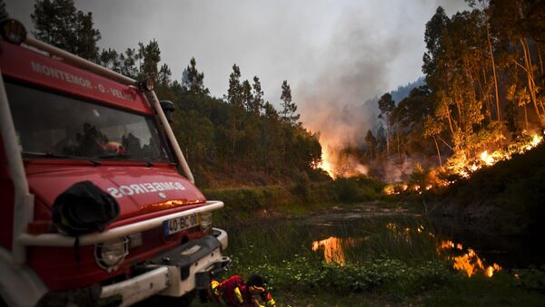Пожарный расчет во время пожара в Пенеле, в центре Португалии - Sputnik Azərbaycan