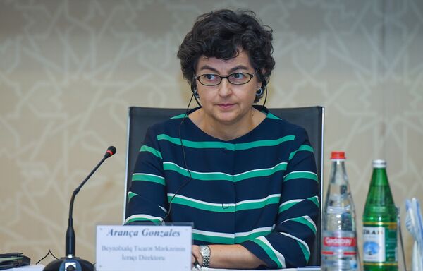 Исполнительный директор Международного торгового центра Аранча Гонзалес Исполнительный директор Международного торгового центра Аранча Гонзалес - Sputnik Азербайджан