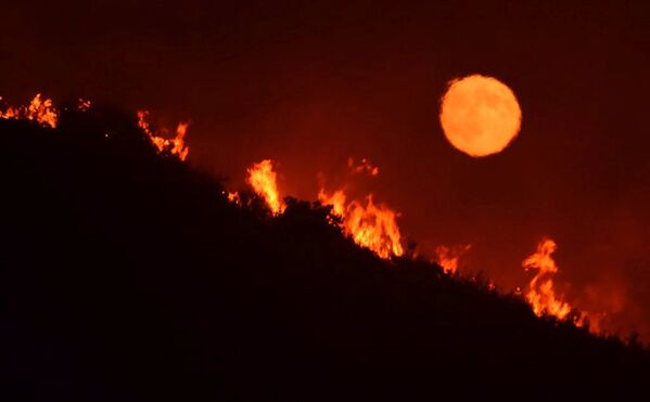 Лесные пожары у центрального побережья Калифорнии - Sputnik Азербайджан