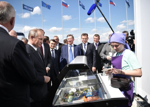 Президент РФ В. Путин посетил Международный авиасалон МАКС-2017 в подмосковном Жуковском Президент РФ В. Путин посетил Международный авиасалон МАКС-2017 в подмосковном Жуковском - Sputnik Азербайджан