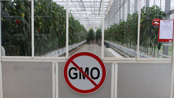 Вывеска Без ГМО на двери теплицы - Sputnik Azərbaycan