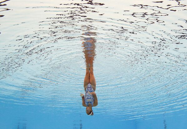 Чемпионат мира по водным видам спорта в Венгрии - Sputnik Азербайджан