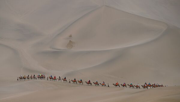 Люди ходят с верблюдами по пустыне в Дуньхуане, Китай, фото из архива - Sputnik Азербайджан
